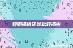 蜉蝣撼树还是蚍蜉撼树