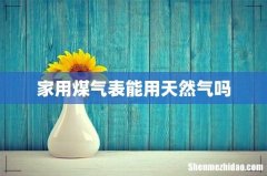 家用煤气表能用天然气吗