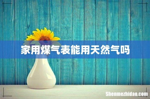 家用煤气表能用天然气吗