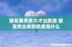 银耳要煮多久才出胶质 银耳煮出来的胶质是什么