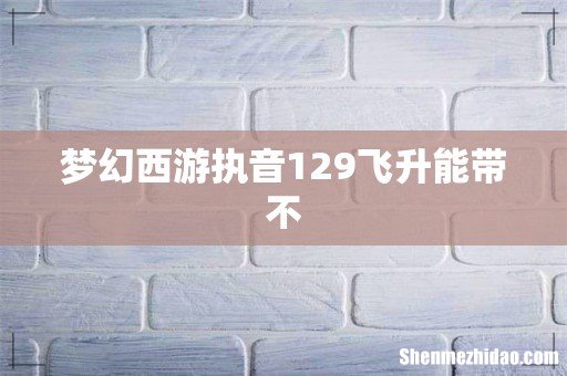 梦幻西游执音129飞升能带不