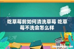 吃草莓前如何清洗草莓 吃草莓不洗会怎么样