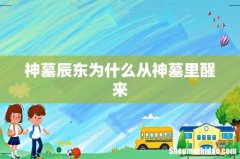 神墓辰东为什么从神墓里醒来