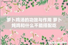 萝卜鸡汤的功效与作用 萝卜炖鸡和什么不能搭配吃
