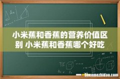 小米蕉和香蕉的营养价值区别 小米蕉和香蕉哪个好吃