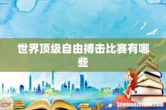 世界顶级自由搏击比赛有哪些