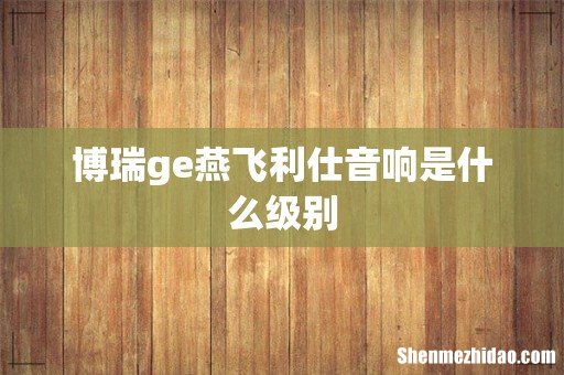 博瑞ge燕飞利仕音响是什么级别
