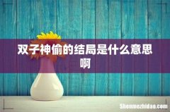 双子神偷的结局是什么意思啊