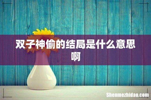 双子神偷的结局是什么意思啊