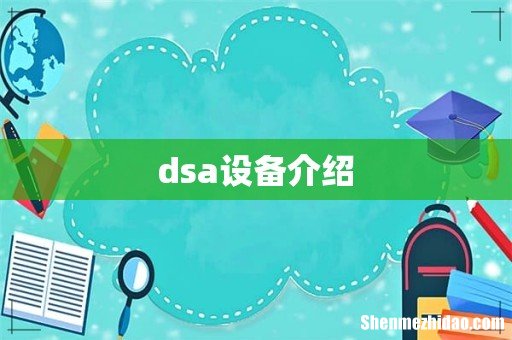 dsa设备介绍