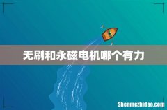 无刷和永磁电机哪个有力