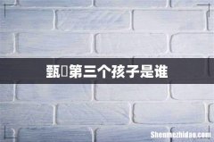 甄嬛第三个孩子是谁