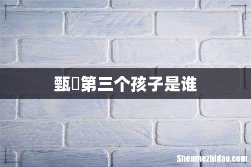 甄嬛第三个孩子是谁