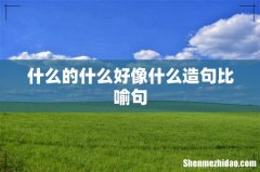 什么的什么好像什么造句比喻句