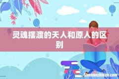 灵魂摆渡的天人和原人的区别