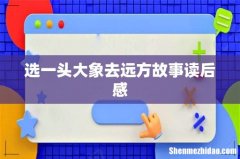 选一头大象去远方故事读后感