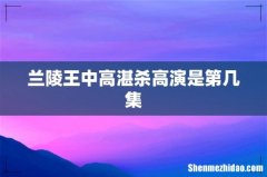 兰陵王中高湛杀高演是第几集