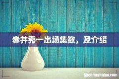 赤井秀一出场集数，及介绍