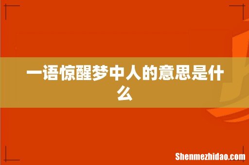 一语惊醒梦中人的意思是什么