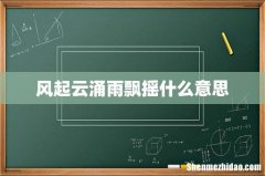 风起云涌雨飘摇什么意思
