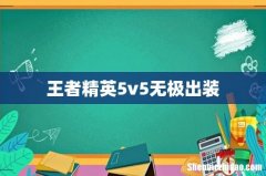 王者精英5v5无极出装