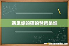 遇见你的猫的爸爸是谁