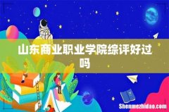 山东商业职业学院综评好过吗