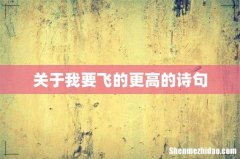 关于我要飞的更高的诗句