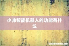 小帅智能机器人的功能有什么