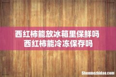 西红柿能放冰箱里保鲜吗 西红柿能冷冻保存吗