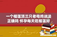 一个榴莲顶三只老母鸡说法正确吗 怀孕每天吃榴莲好吗