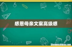 感恩母亲文案高级感