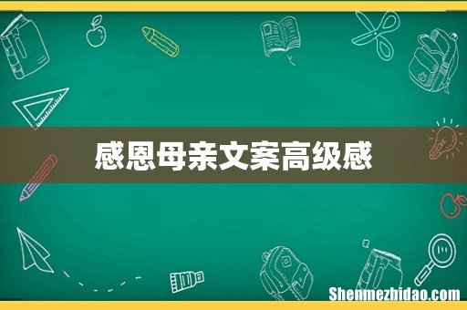 感恩母亲文案高级感