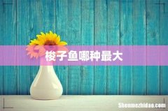 梭子鱼哪种最大