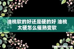 油桃软的好还是硬的好 油桃太硬怎么催熟变软