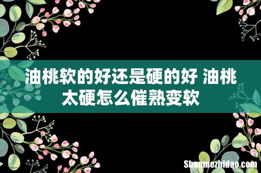 油桃软的好还是硬的好 油桃太硬怎么催熟变软