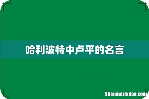 哈利波特中卢平的名言