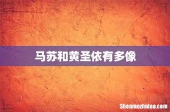 马苏和黄圣依有多像