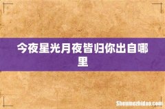 今夜星光月夜皆归你出自哪里