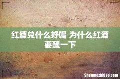 红酒兑什么好喝 为什么红酒要醒一下