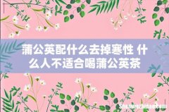 蒲公英配什么去掉寒性 什么人不适合喝蒲公英茶