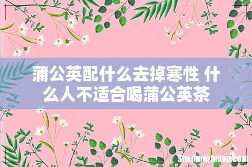 蒲公英配什么去掉寒性 什么人不适合喝蒲公英茶