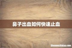 鼻子出血如何快速止血