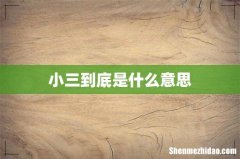 小三到底是什么意思