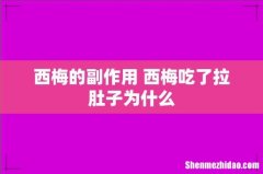 西梅的副作用 西梅吃了拉肚子为什么