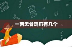 一两无骨鸡爪有几个