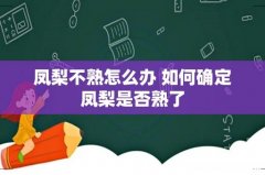 凤梨不熟怎么办 如何确定凤梨是否熟了