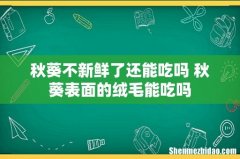 秋葵不新鲜了还能吃吗 秋葵表面的绒毛能吃吗