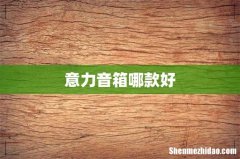 意力音箱哪款好