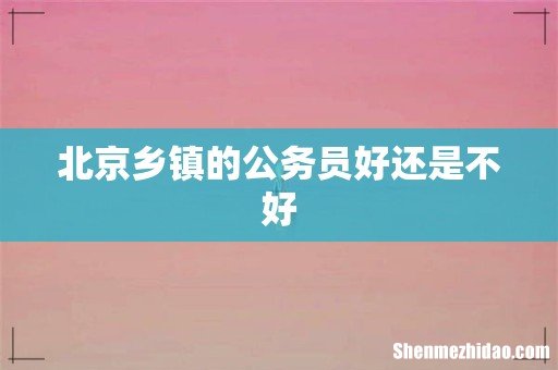 北京乡镇的公务员好还是不好